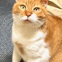 穏やかなチャッピーくん