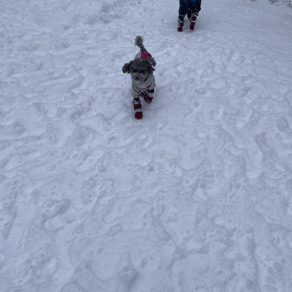 ななこのカバー写真