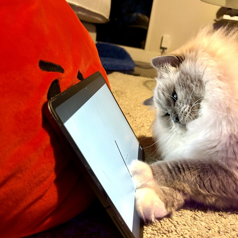 露伴のカバー写真