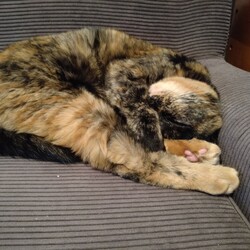 「ふたつ折り」サムネイル3