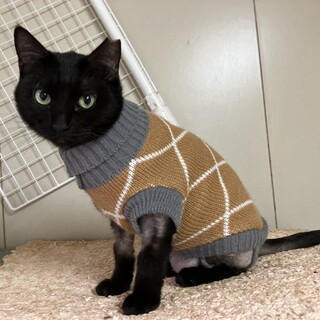 マジで可愛すぎるキキちゃんです