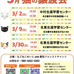 保護猫譲渡会　名古屋市 サムネイル2