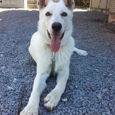 もうすぐお母さんの誕生日です（わたしも！）