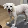 の写真