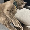 の写真