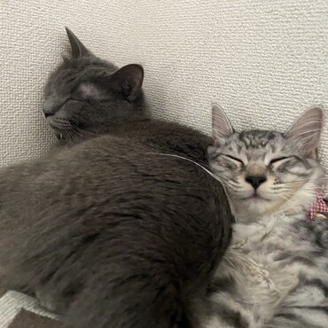 の写真