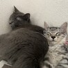 の写真