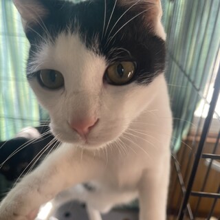 優しい家族募集中！②