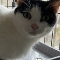 優しい家族募集中！③