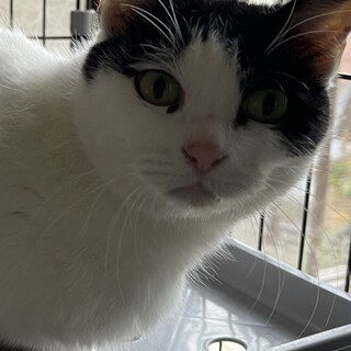 優しい家族募集中！③