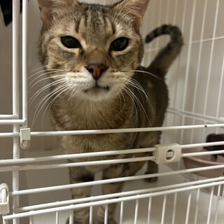 かわいい男の子リキ☆