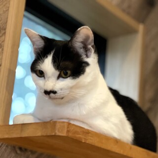 元気いっぱいお転婆さんの「ロミ」ちゃん(^^)