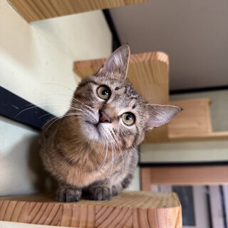 つかさ君　男の子　5ヶ月　むぎわら