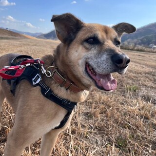 人が大好きな【まさお】くん