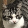ぽっちゃり癒し系なりん太郎