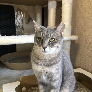 面倒見がいいお母さん