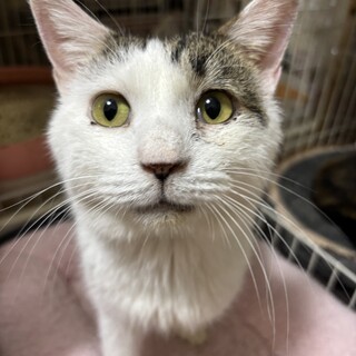 玄関前で出待ちされていました。ラビくんです