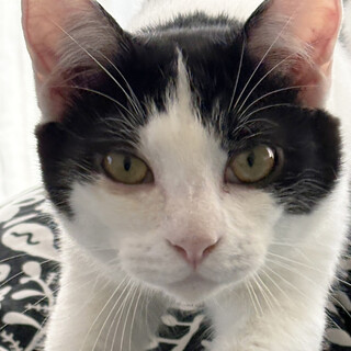 ツンデレ!?♂しちさん7か月