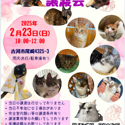 保護犬猫☺︎譲渡会　@古河市