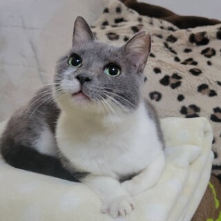 人見知り・場所見知り無しの天然なグミちゃん