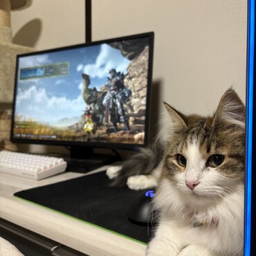 の写真