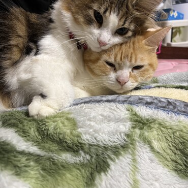 の写真