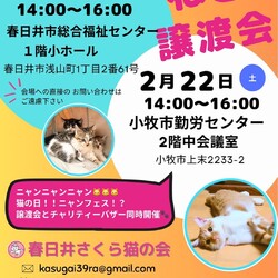 保護猫の譲渡会in小牧