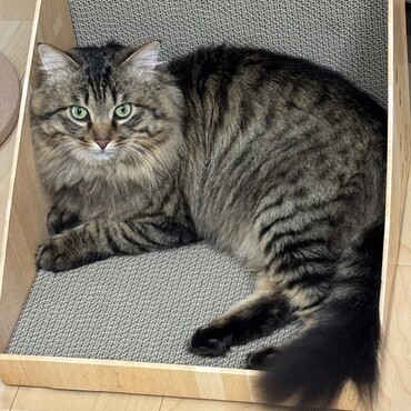 お気に入り(^ ^)