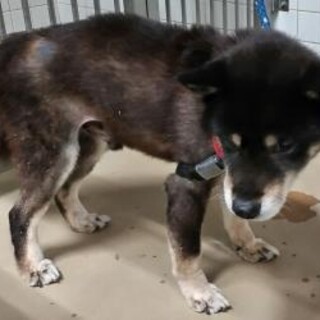 お迎えありました。