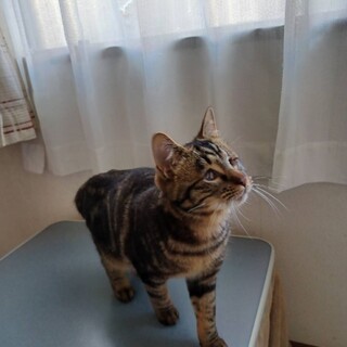 ෆ⃛適応能力抜群ෆ⃛福くん