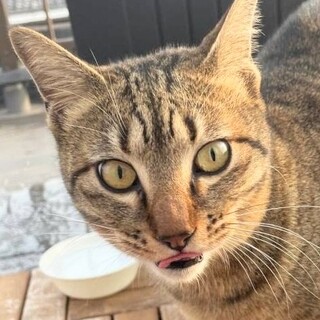 ❤️❤️可愛い❤️花ちゃん❤️