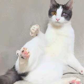 お世話大好き♡ゆずちゃんです☆