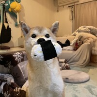 びわ