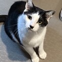 ちょび髭が可愛い男の子　みずきくん