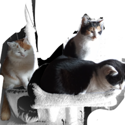 「ちょっと仲良くなった？」サムネイル2