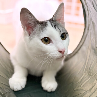 2/23高田馬場★しうくん★おっとりイケメン