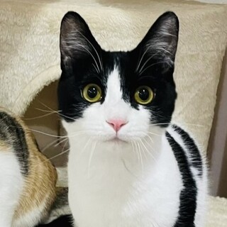 【2/23芝浦】よしよし大好き✦ふぃなんしぇ