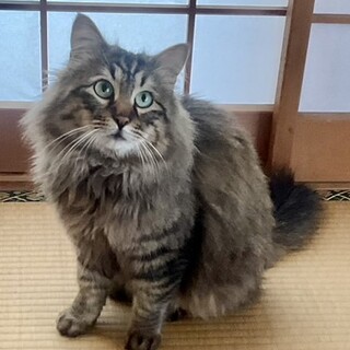 家族が決まりました☺︎