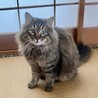 家族が決まりました☺︎ サムネイル2