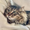 家族が決まりました☺︎ サムネイル4