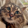 家族が決まりました☺︎ サムネイル5