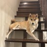 の写真