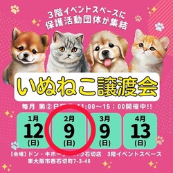 いぬねこ譲渡会