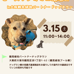 ピースワンコ生駒ミニ譲渡会 in大阪鶴見緑地パートナードッグタウン