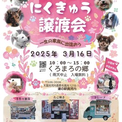 にくきゅう譲渡会