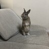 わんにゃんぴょんメダカ好き♡