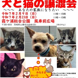犬猫譲渡会～あなたの家族になりたい～　　　　　 サムネイル1