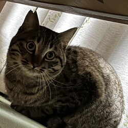 いつ写真を撮ってもまんまるおめめ