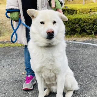 おだやかな忠犬ボンド君！
