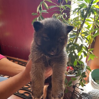 1か月の男の子『とわ』くん